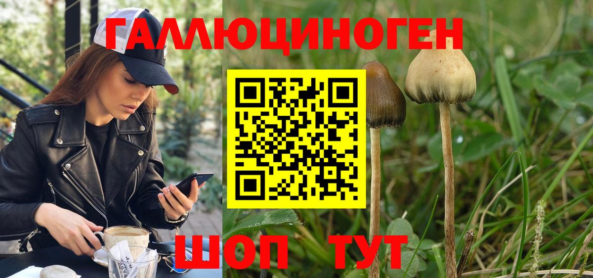 Ленинск-Кузнецкий  Псилоцибиновые грибы мицелий  Вход с VPN 